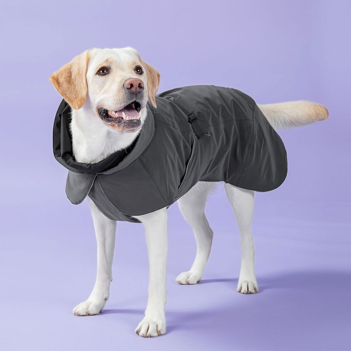 PAIKKA Visibility Winter Jacket, dark