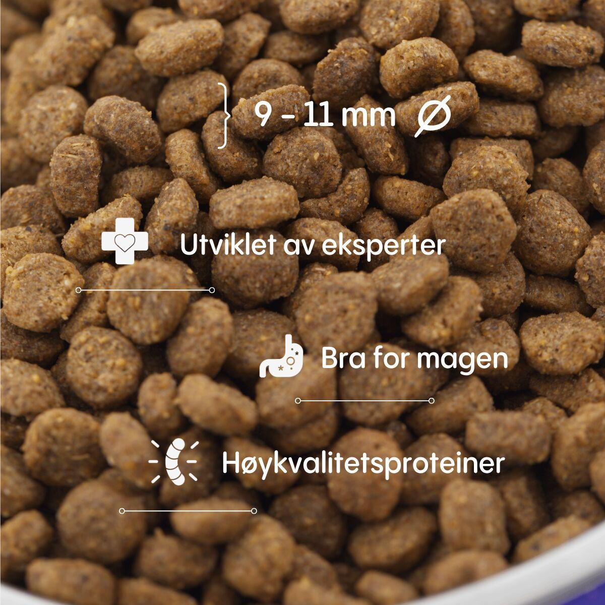 Petgood insect-dog food, pup, junior, nursing dogs