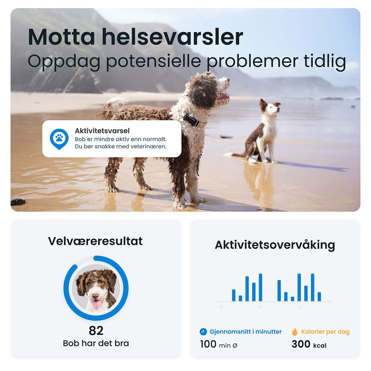 Tractive for DOG 6 tracker