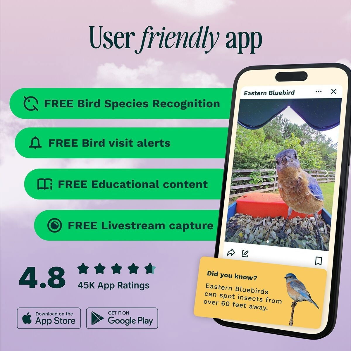 Birdbuddy Smart Bird Feeder with Solar Roof, blue