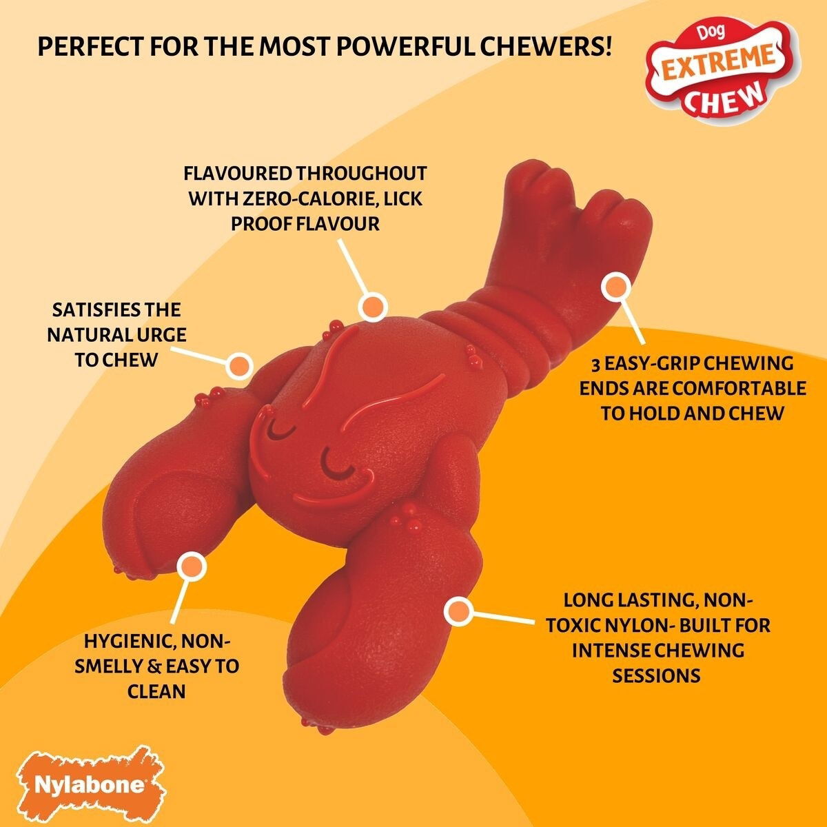 Nylabone Extreme Chew Lobster Filet Mignon X Large