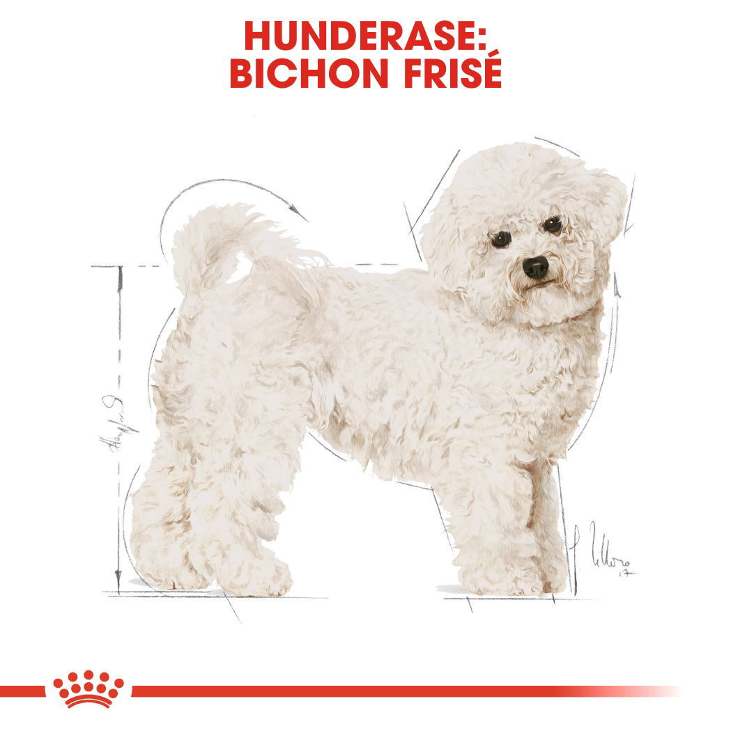 Royal Canin Bichon Frisé Adult tørrfôr til hund