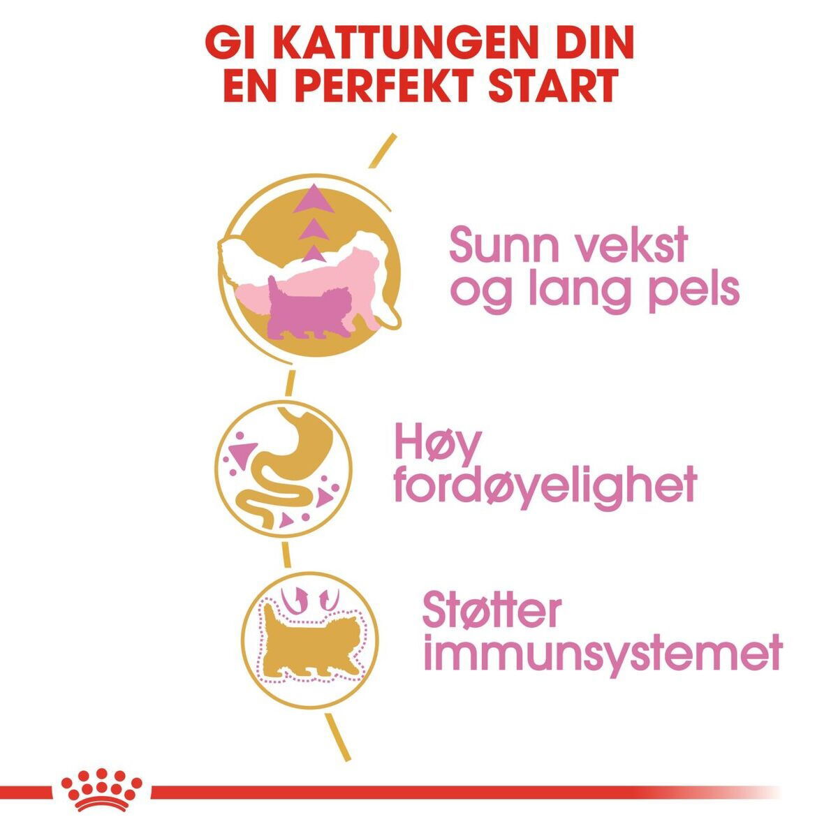 Royal Canin Persian Kitten tørrfôr til kattunge