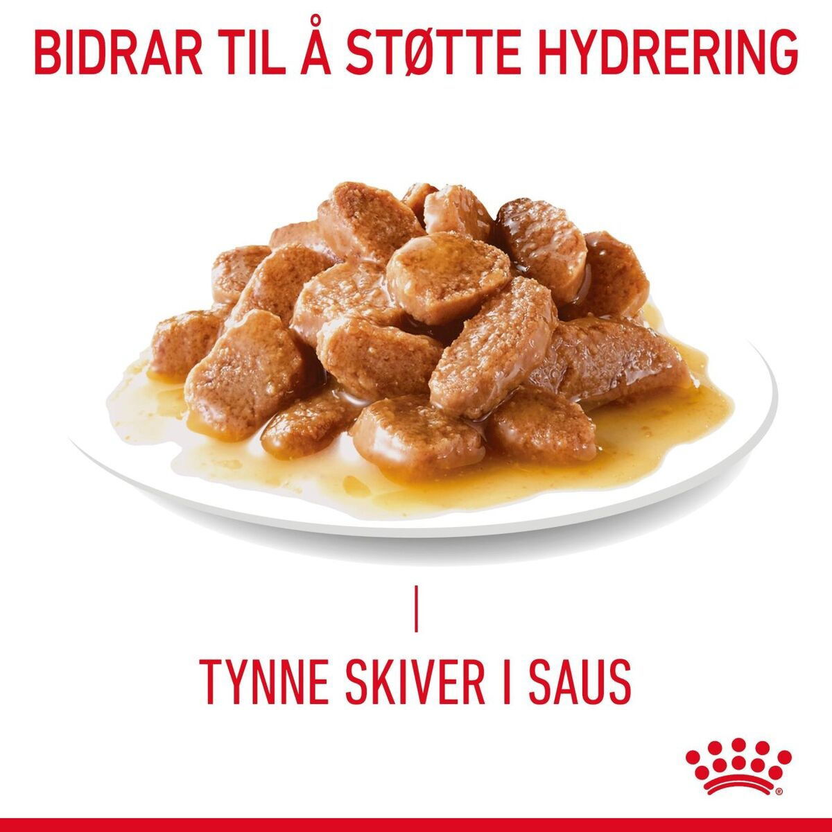 Royal Canin Hairball Care Gravy Adult våtfôr til katt