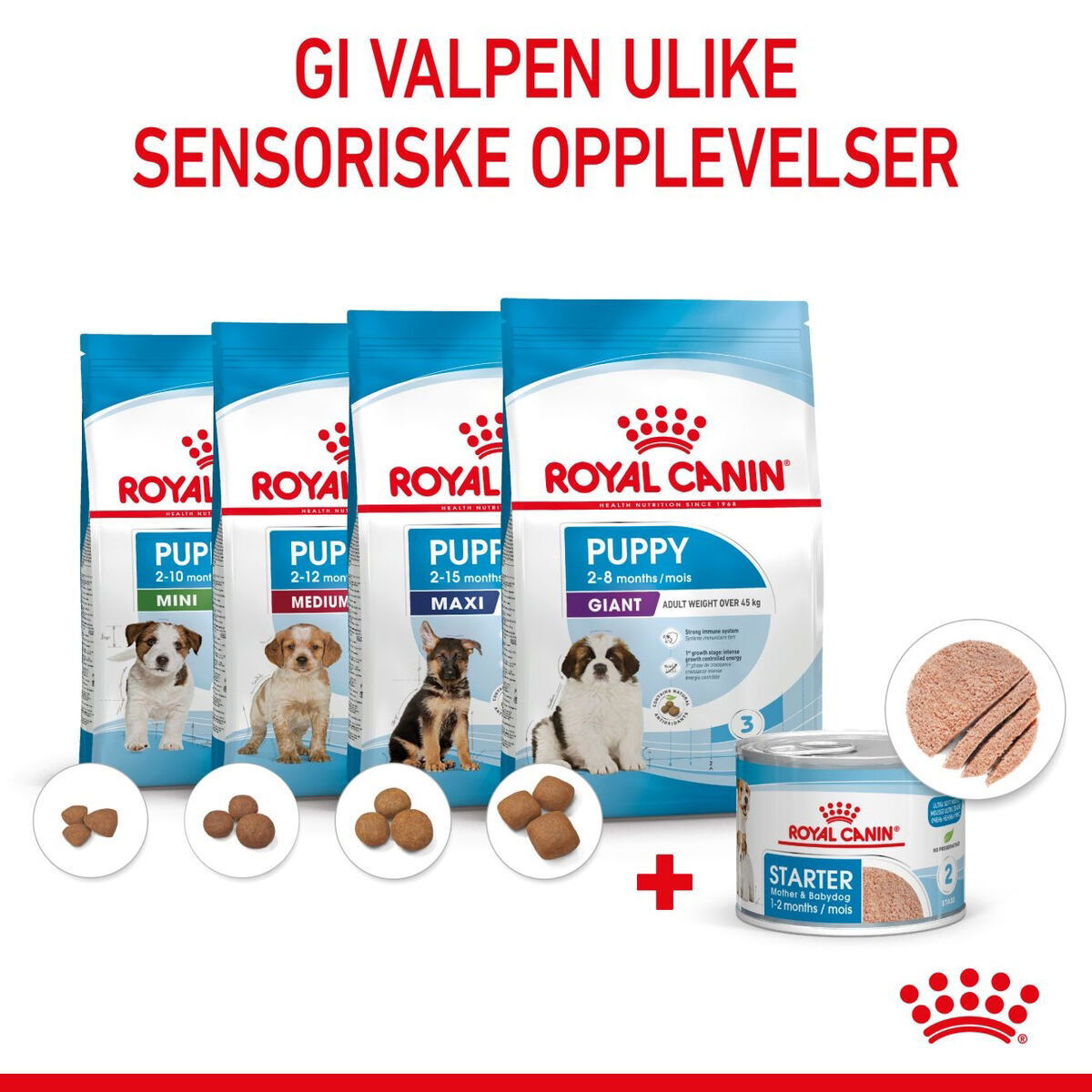 Royal Canin Mother & Babydog Starter Mousse våtfôr til hund og valp