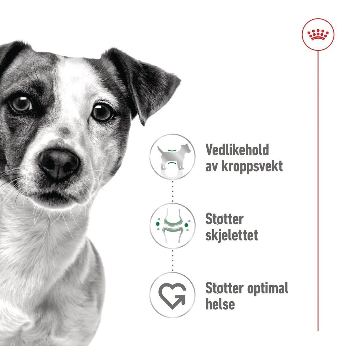 Royal Canin Mini Adult Gravy våtfôr til hund
