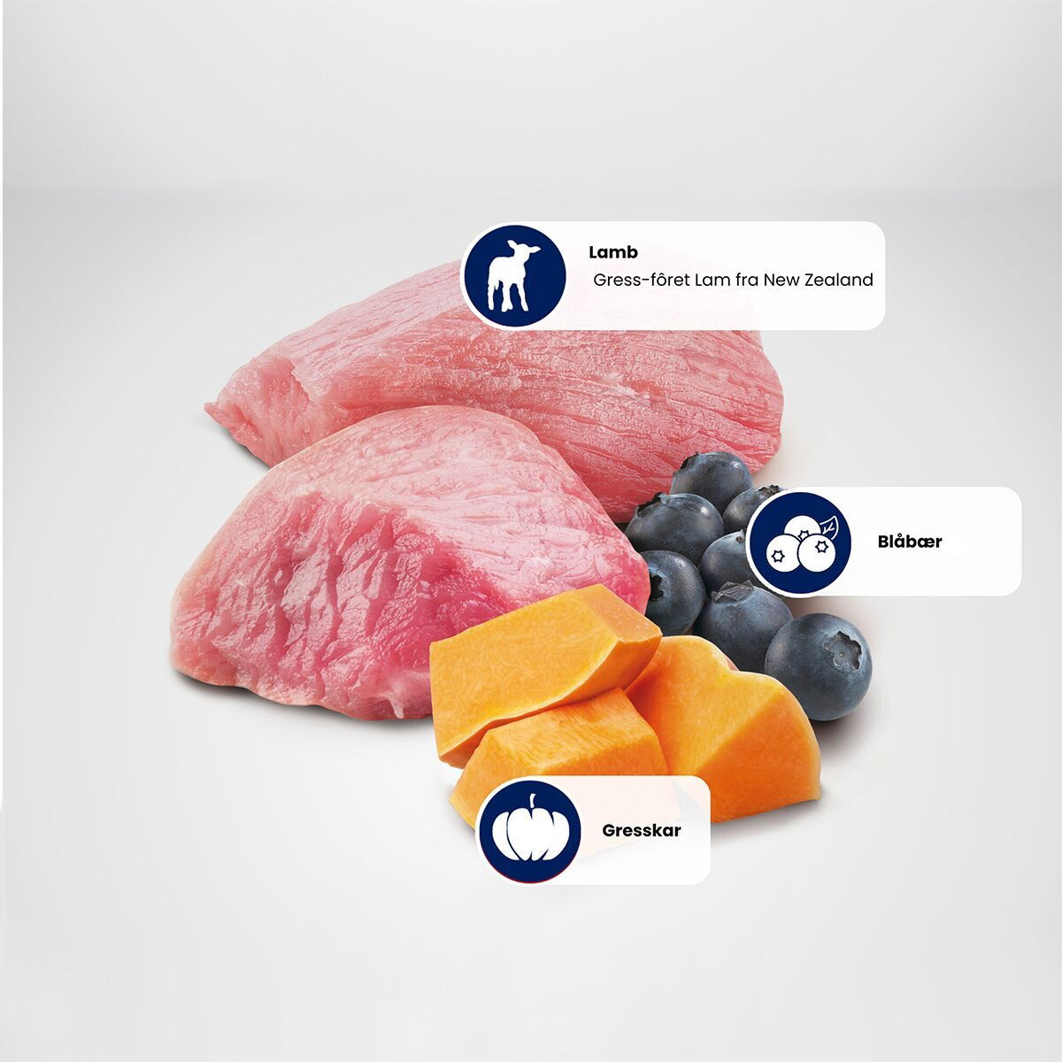 N&D Dog Lamb&Pumpkin S 140g