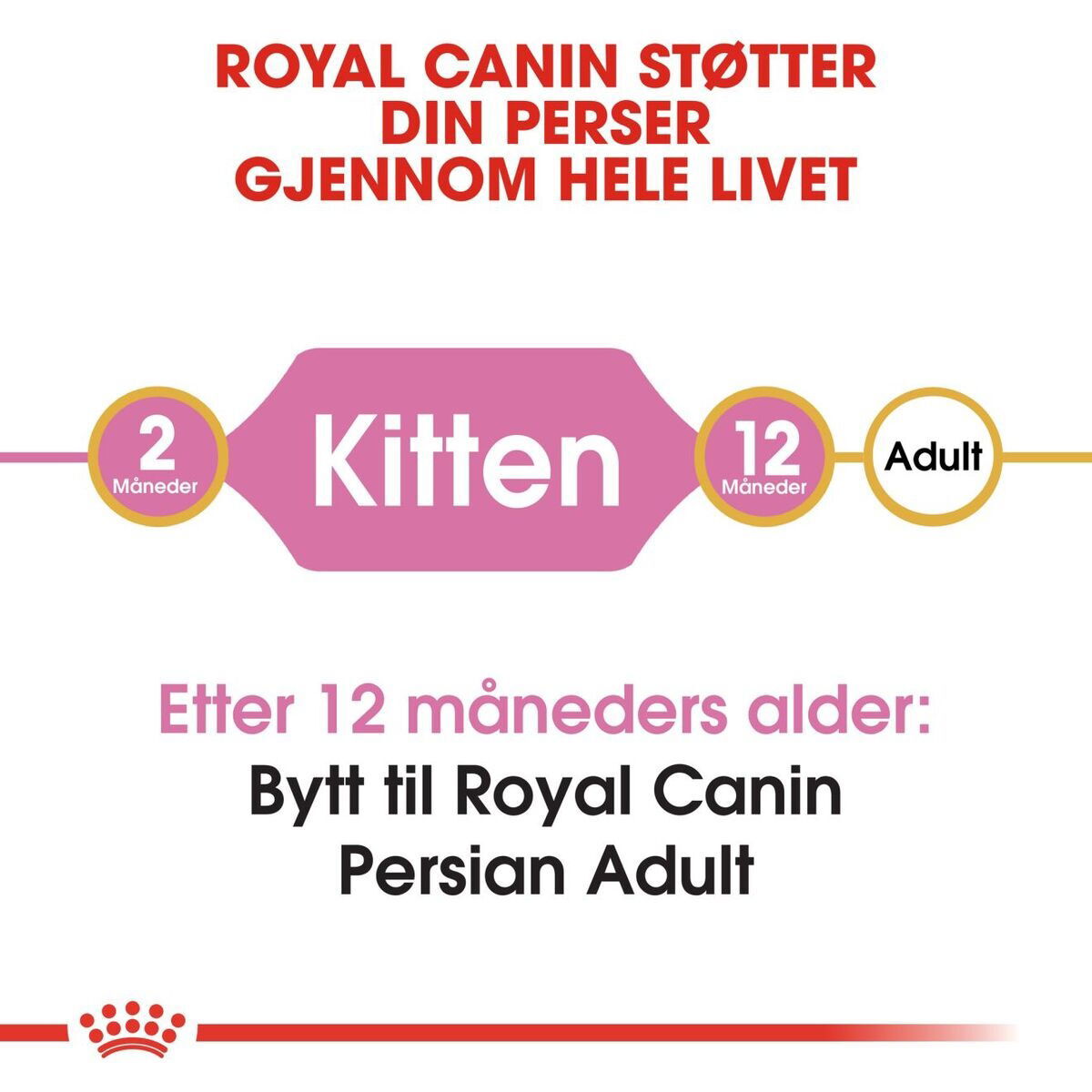 Royal Canin Persian Kitten tørrfôr til kattunge