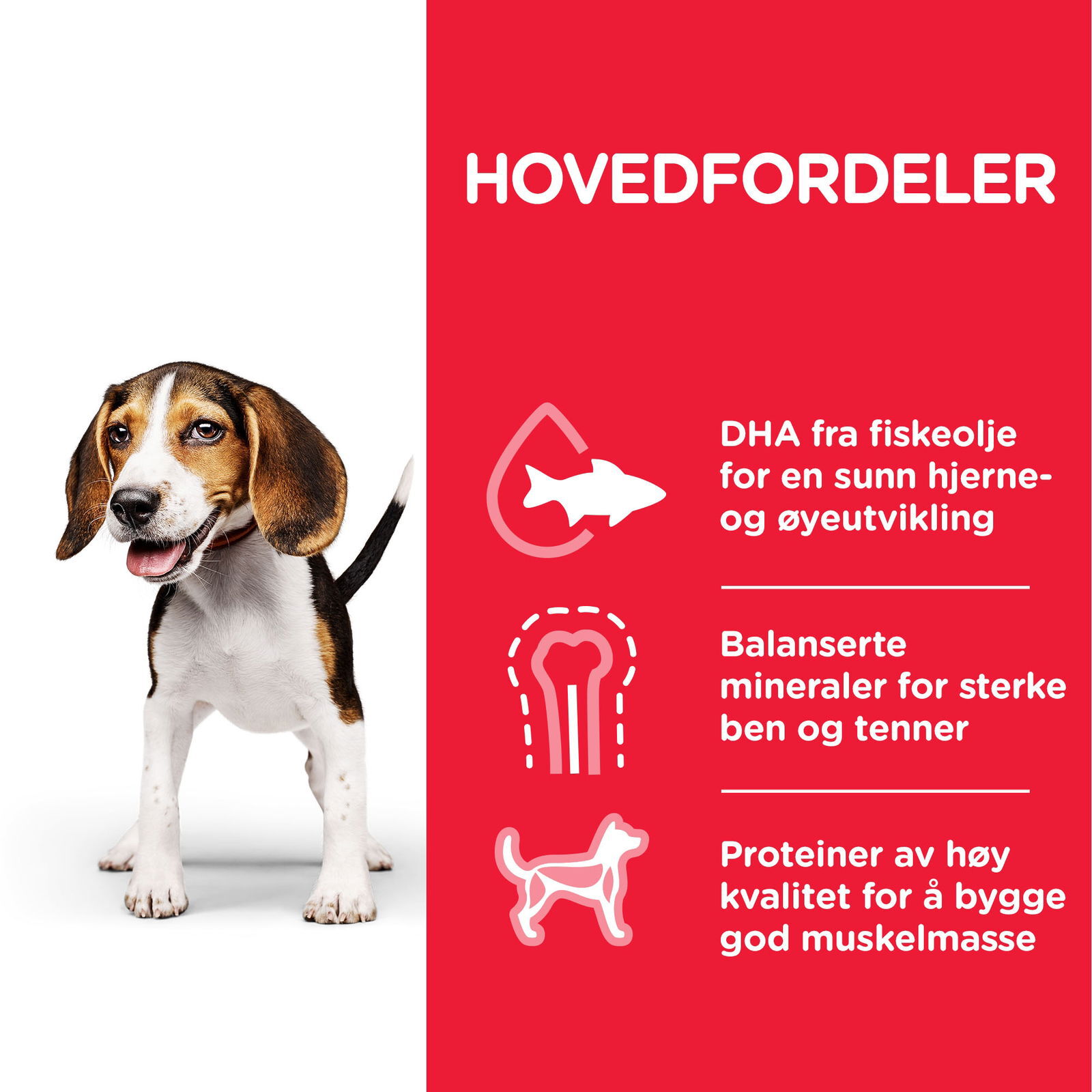 Hill's Science Plan Puppy Chicken 370 g