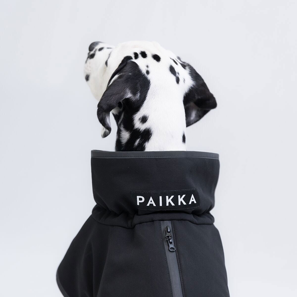 PAIKKA Recovery Softshell Jacket, black