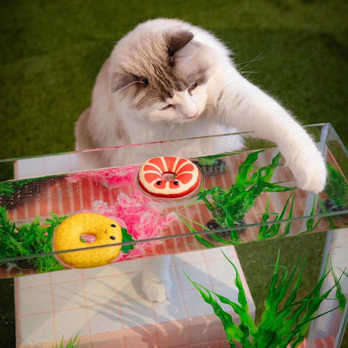 Little&Bigger Hot Summer Floating pineapple&grapefruit 2-pack