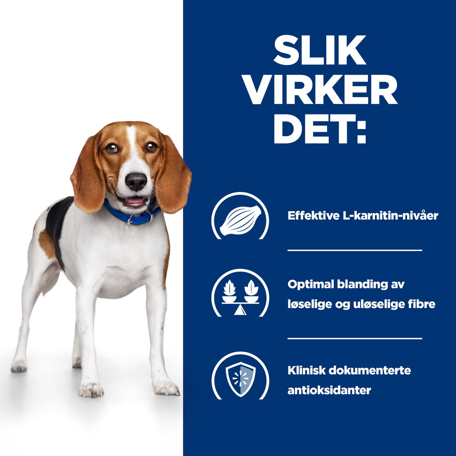 Hills Diet Dog r/d 12kg