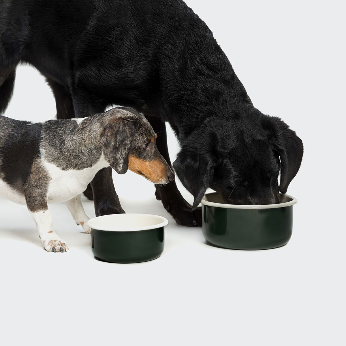 Cloud7 Dog Bowl Granny Dark Green