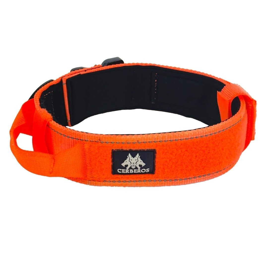 Cerberos Dog Collar Orange