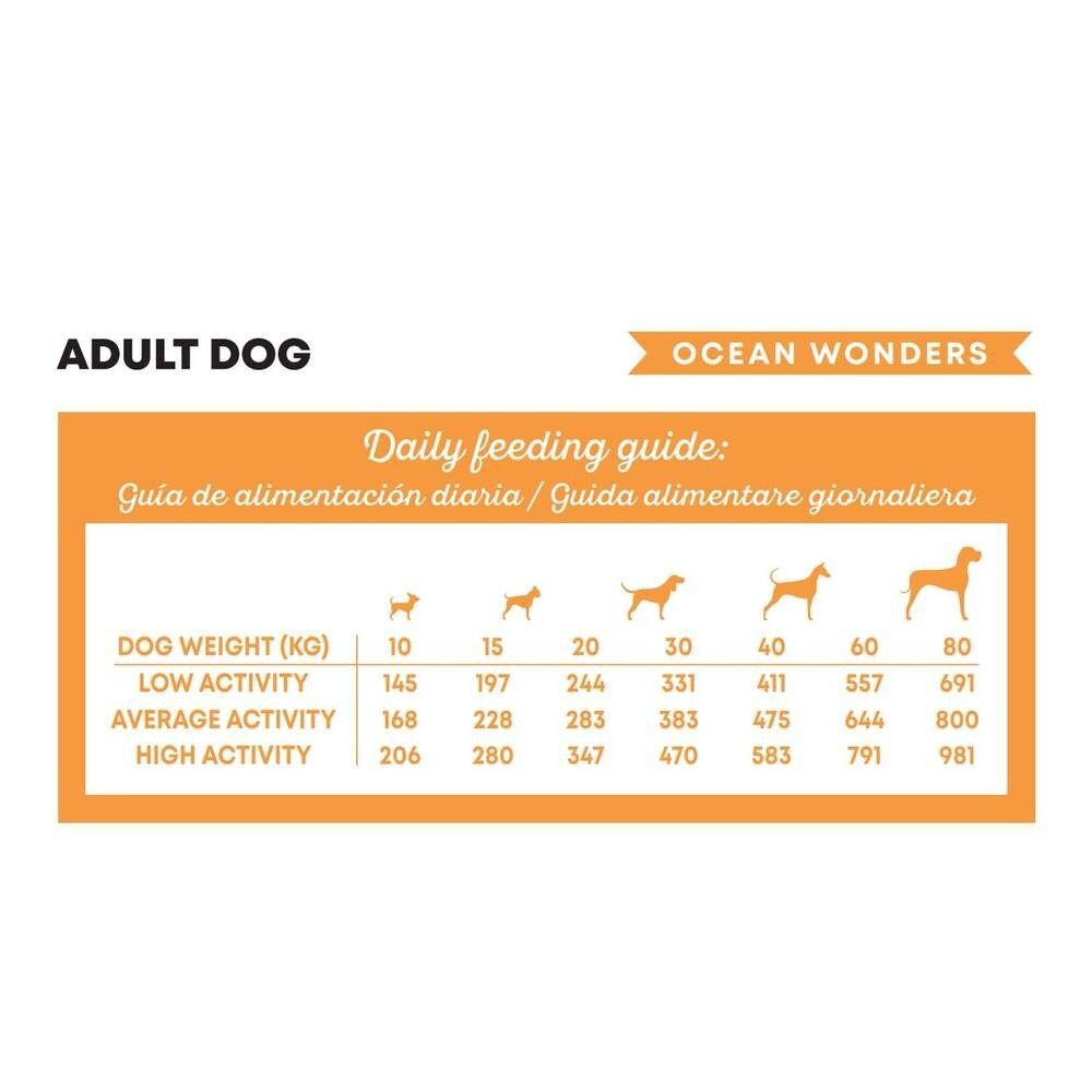 Harper and Bone Dog Adult Medium/Large Ocean Wonders