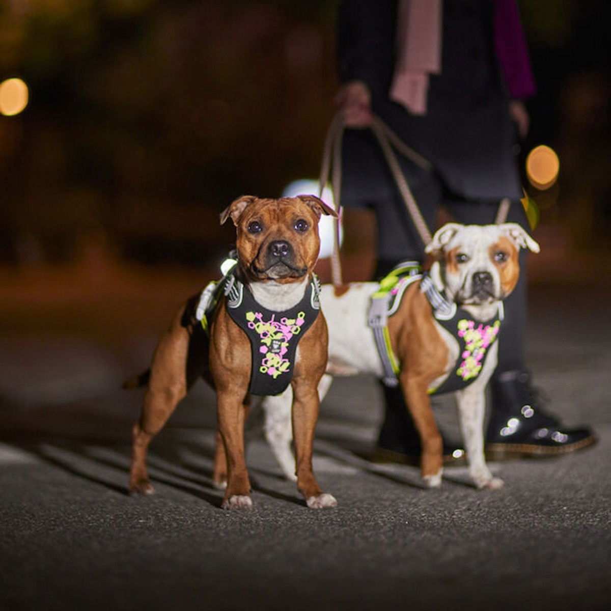Hurtta Weekend Warrior Neon Harness