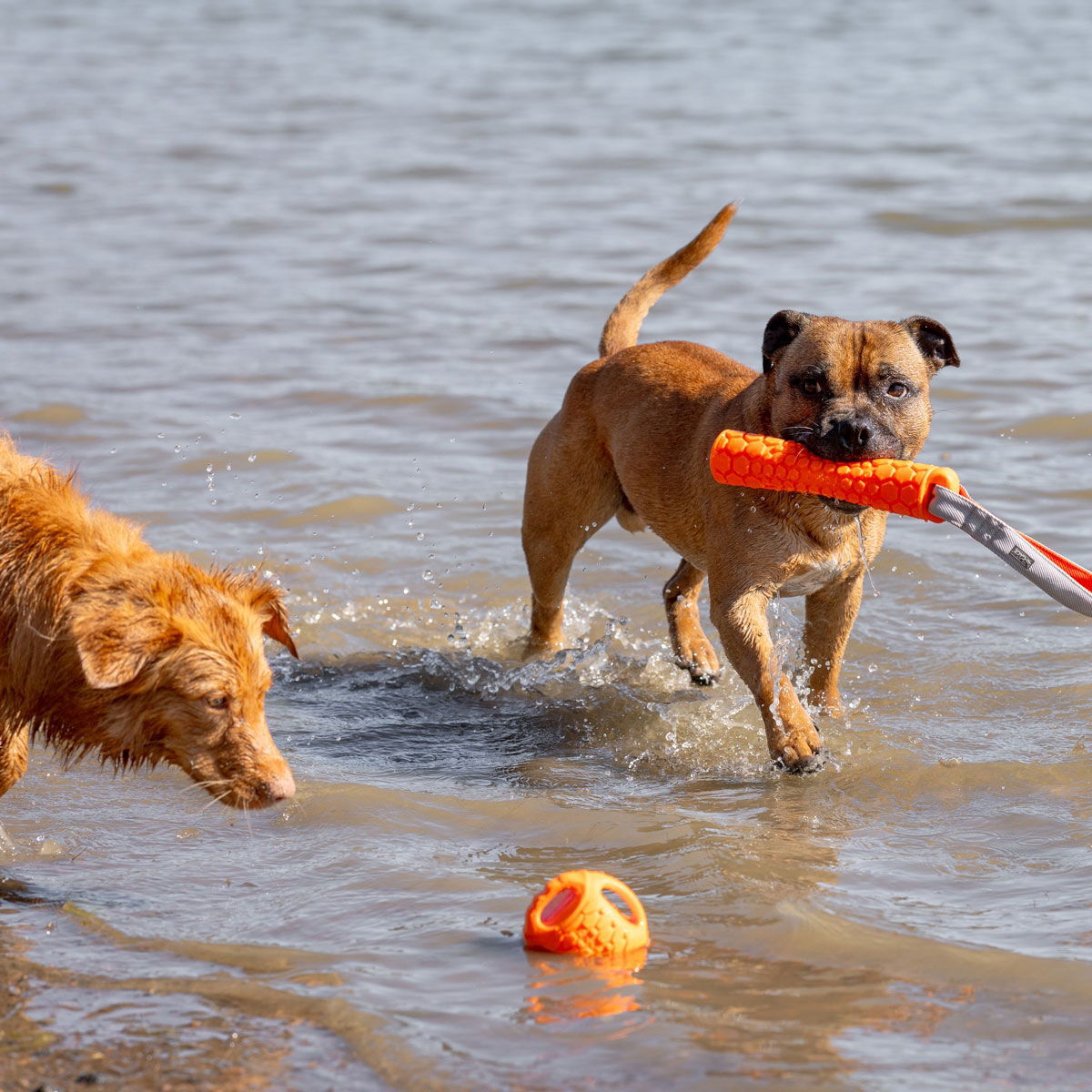 N-Gage Classic bumper baton orange M