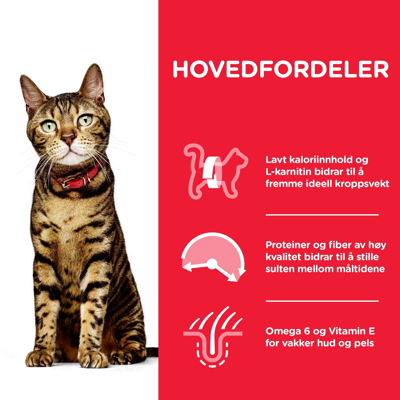 Hills Science Plan Feline Adult Light