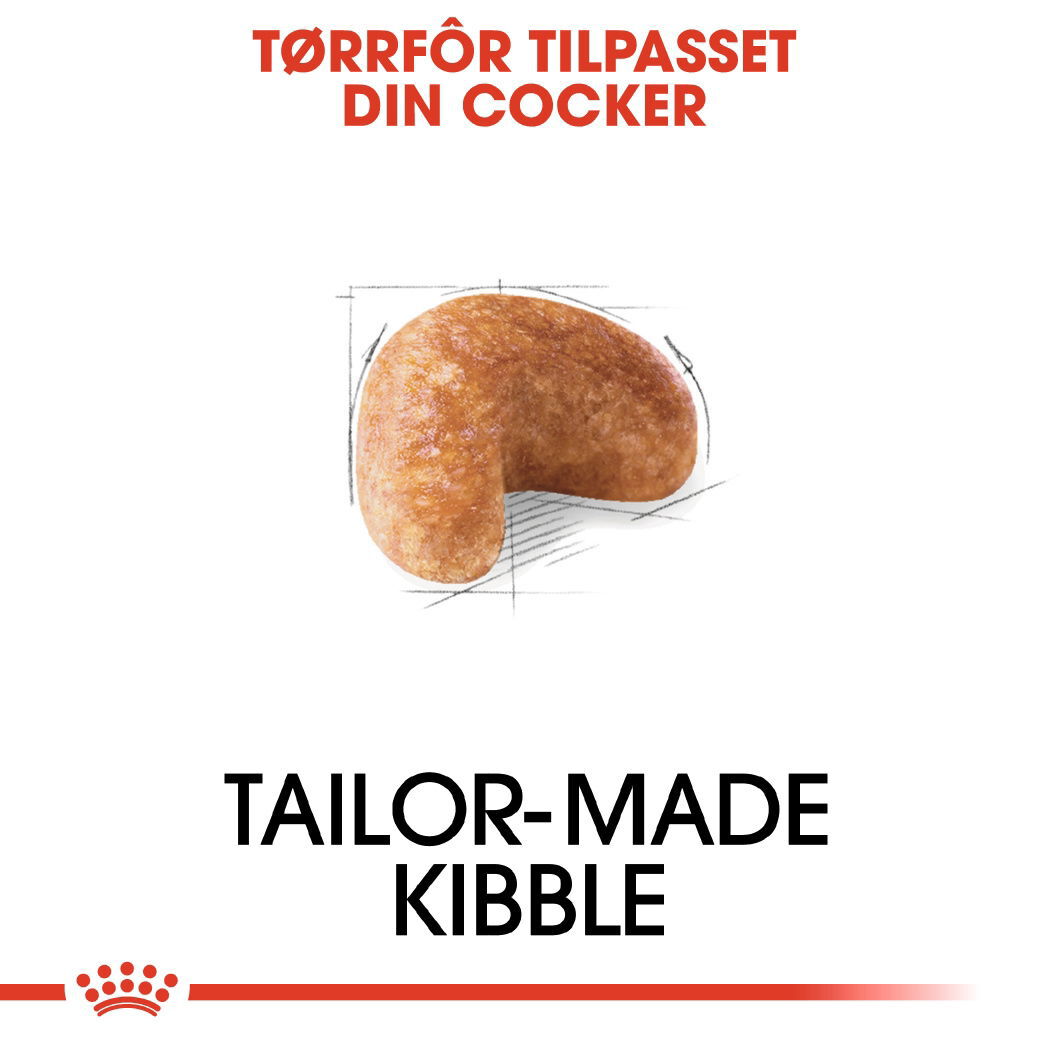 Royal Canin Cocker Adult tørrfôr til hund