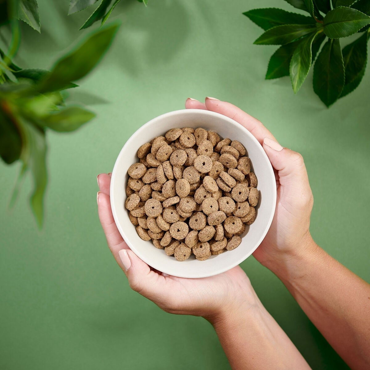 Purenatural Dog Adult Light Turkey