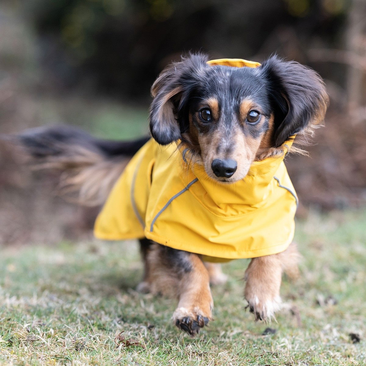 Rukka Hayton eco raincoat, yellow