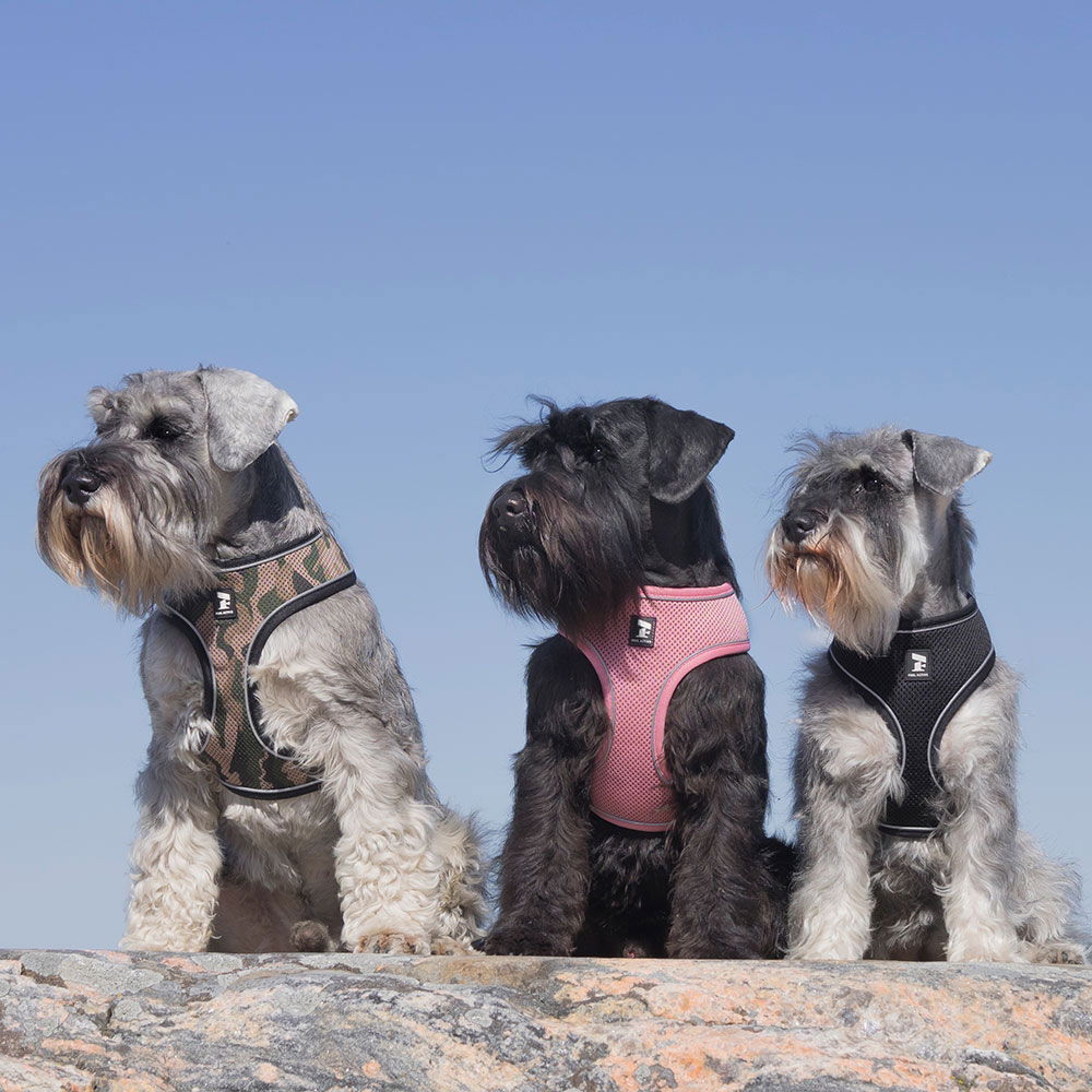 Feel Active Soft Sele Svart