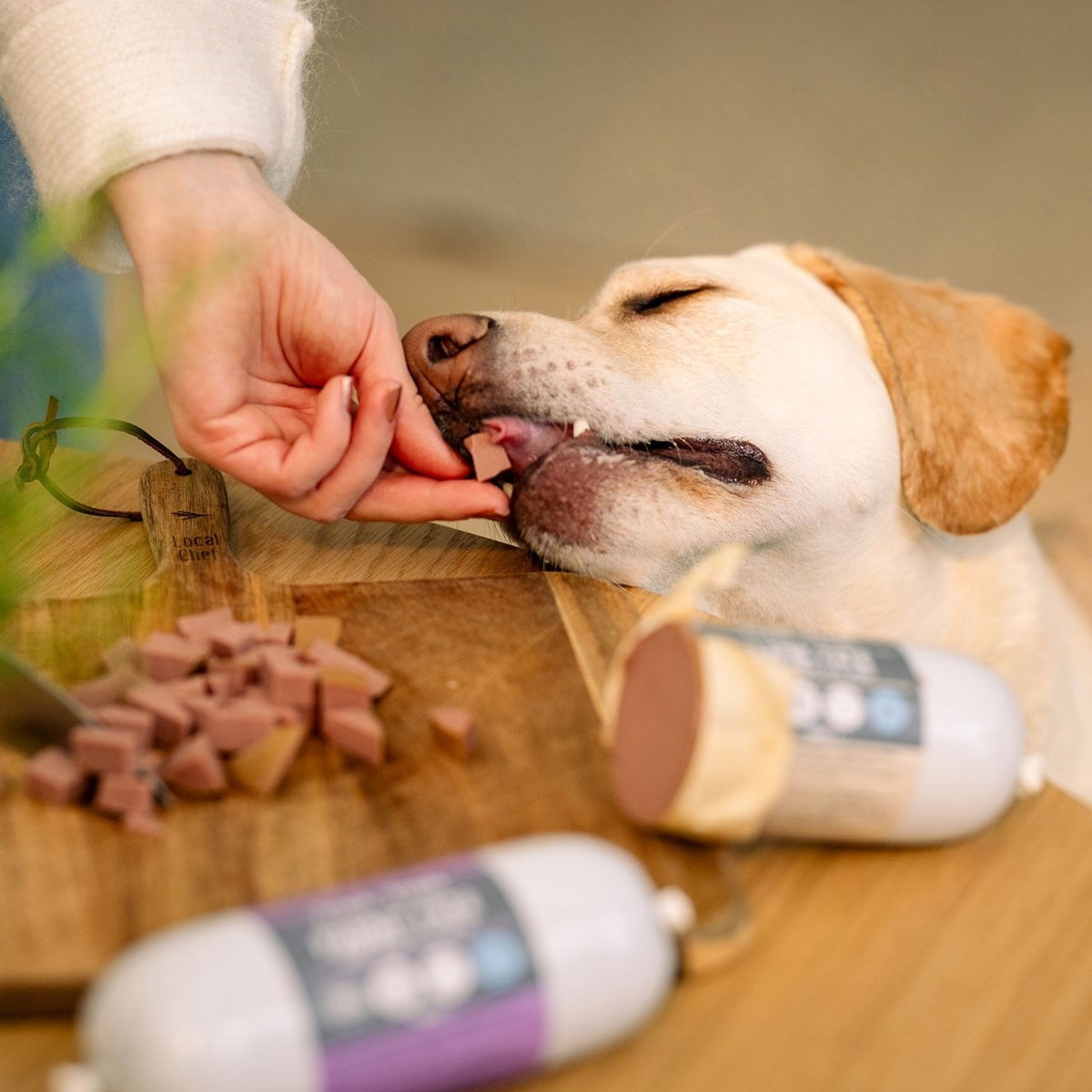 Trick&Treat Paté Sausage Duck