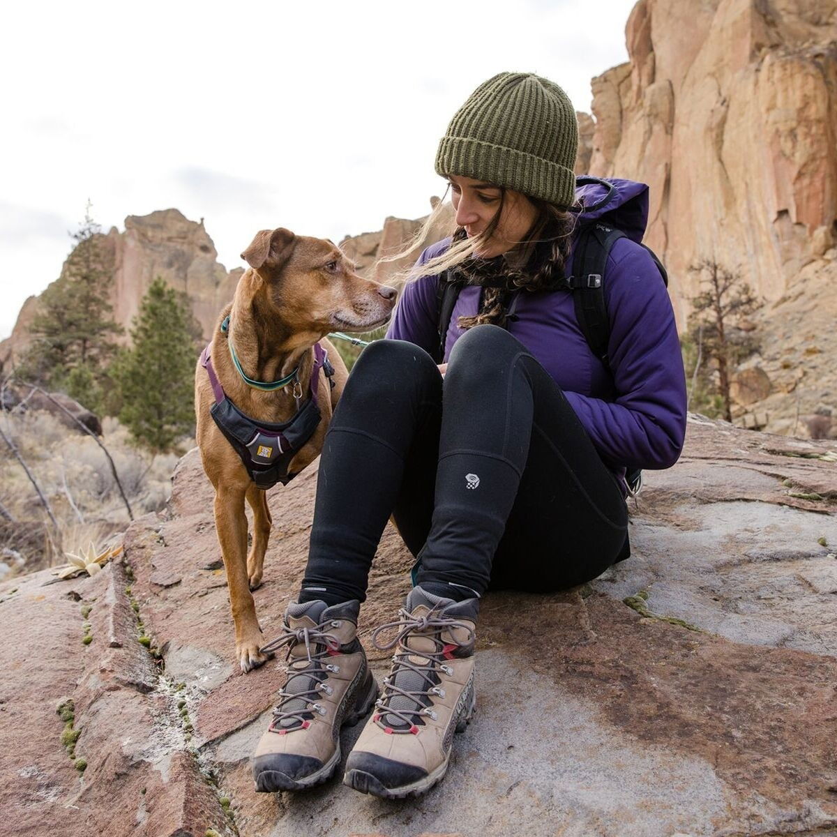 Ruffwear Web Master harness, Purple Rain