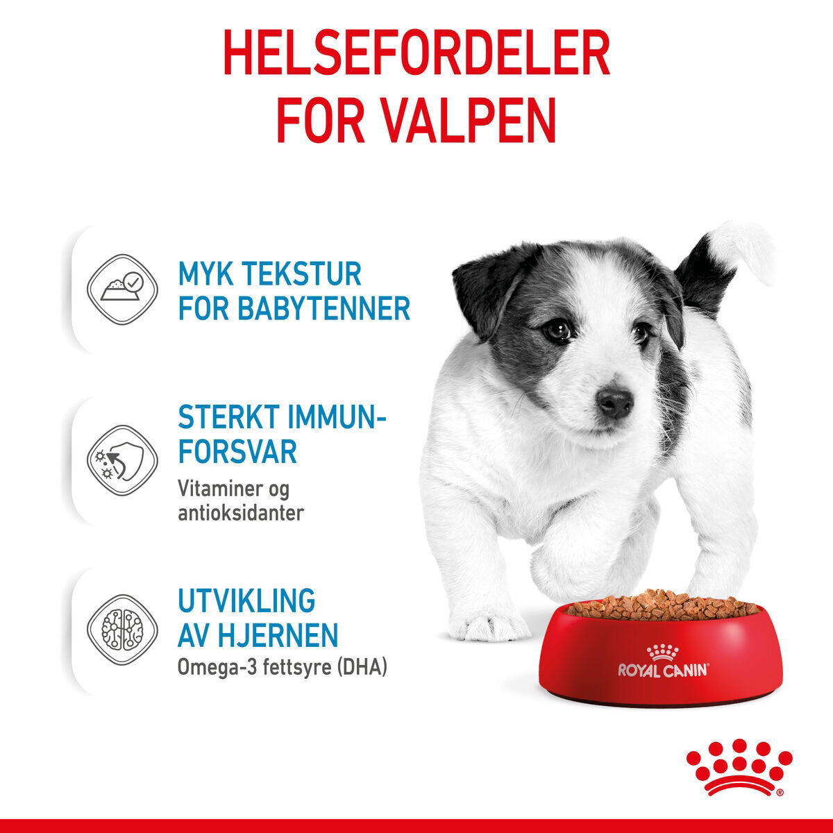 Royal Canin Mini Puppy våtfôr til valp