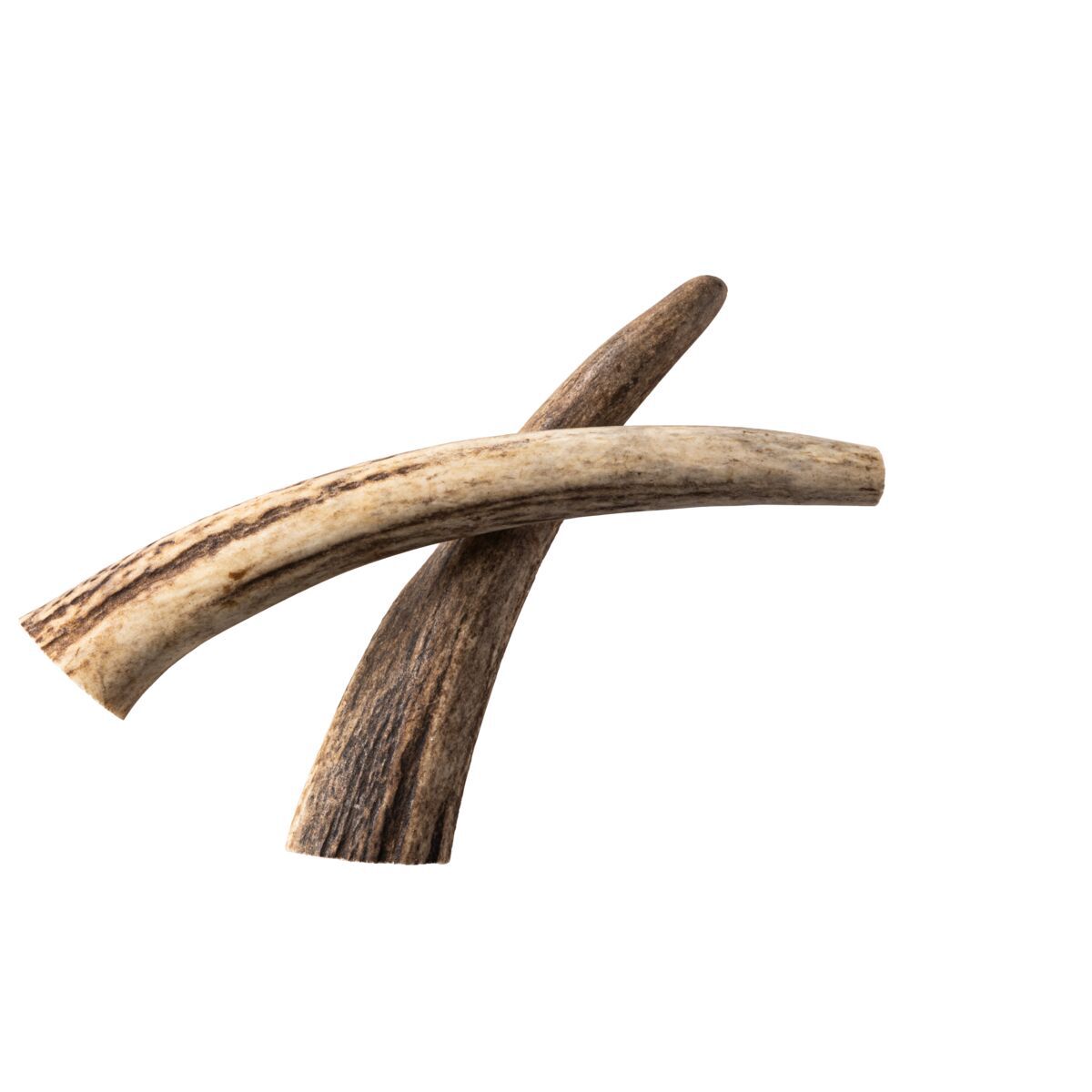 Nutriment Natural Antler chew for dogs