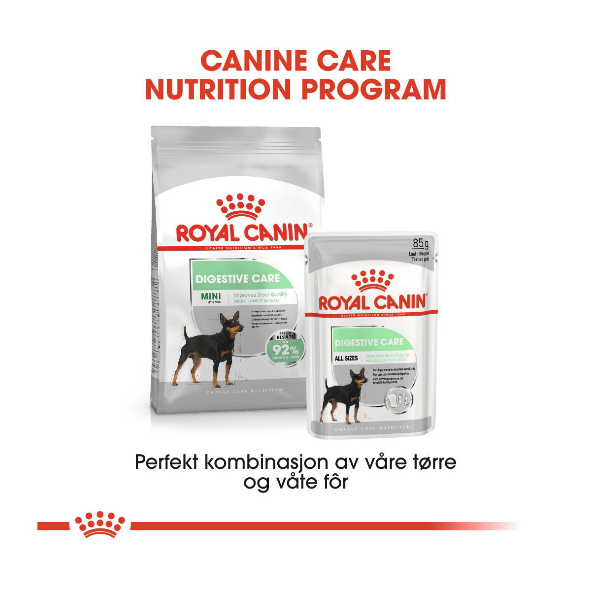 Royal Canin Digestive Care Adult Loaf våtfôr til hund
