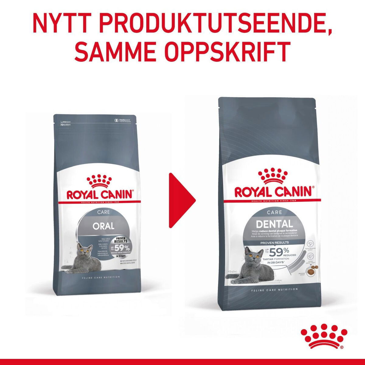 Royal Canin Dental Care Adult tørrfôr til katt