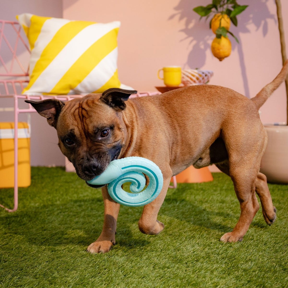 Little&Bigger TPR Snake spool aqua