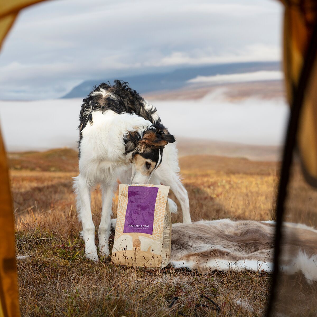 ESSENTIAL HIGHLAND LIVING 10kg