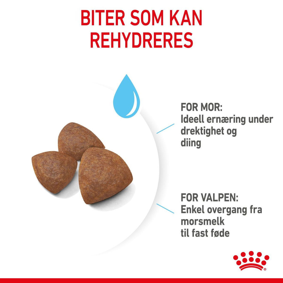 Royal Canin Medium Starter tørrfôr til hund og valp
