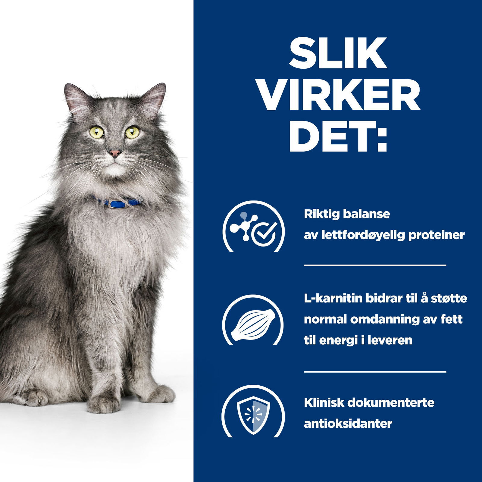 Hills Diet Cat l/d 1,5kg