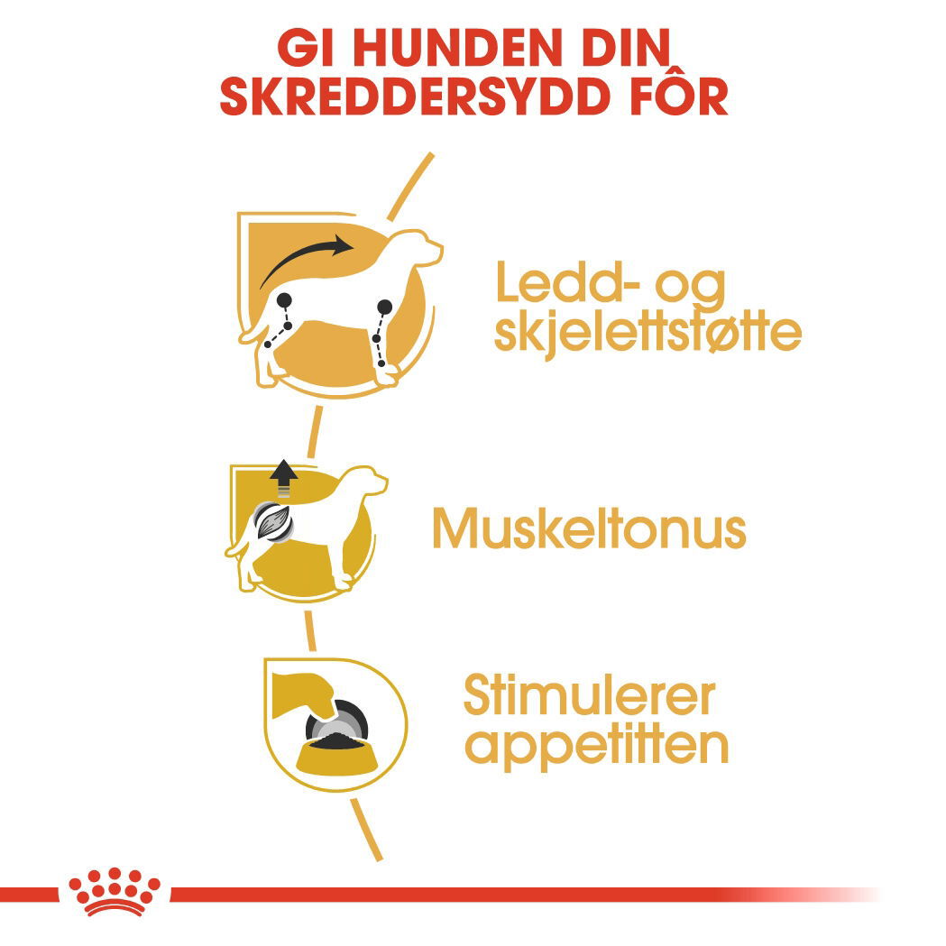 Royal Canin Dachshund Adult Loaf våtfôr til hund
