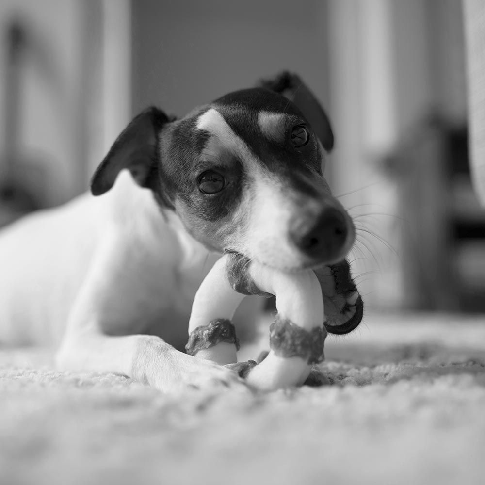 POCCA Råhud Tyggering 2stk