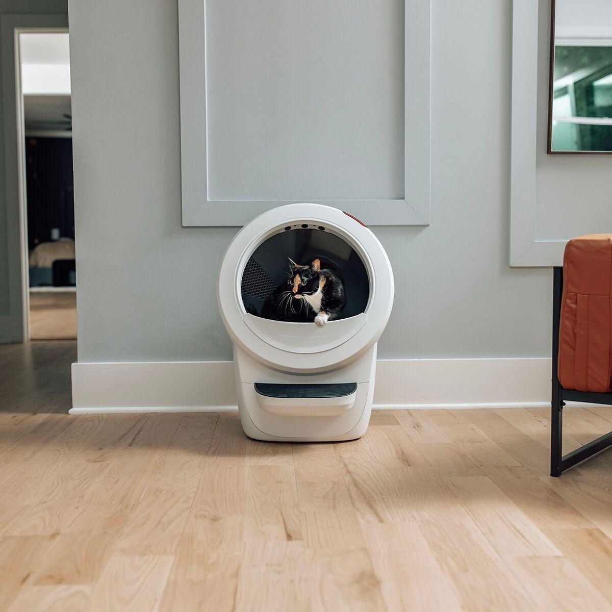 Whisker Litter-Robot 4, white