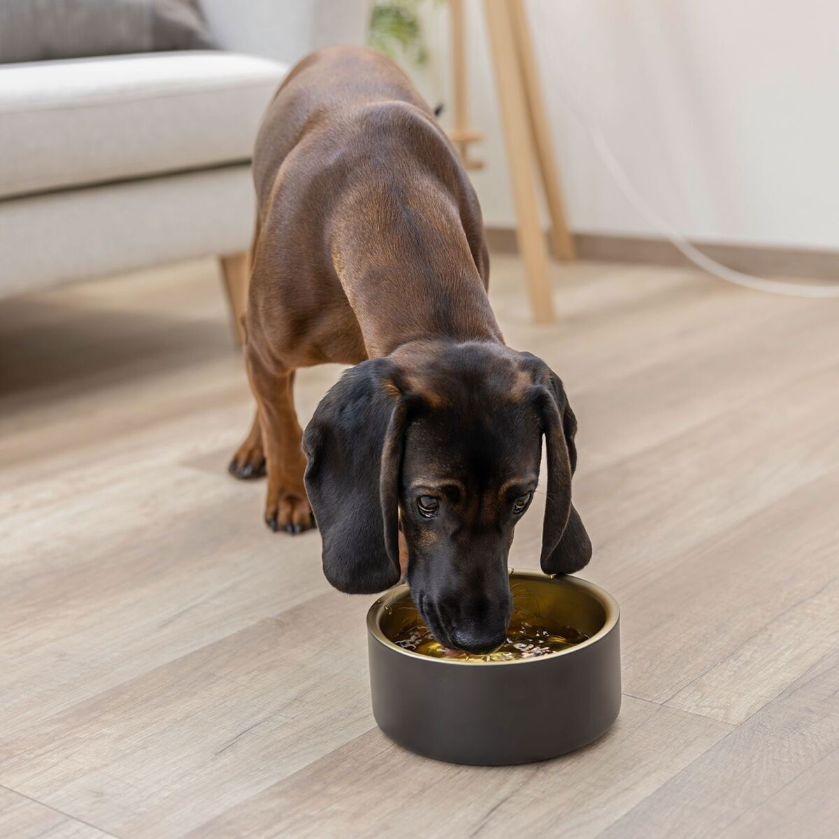 Kerbl Stainless Steel Bowl Golden