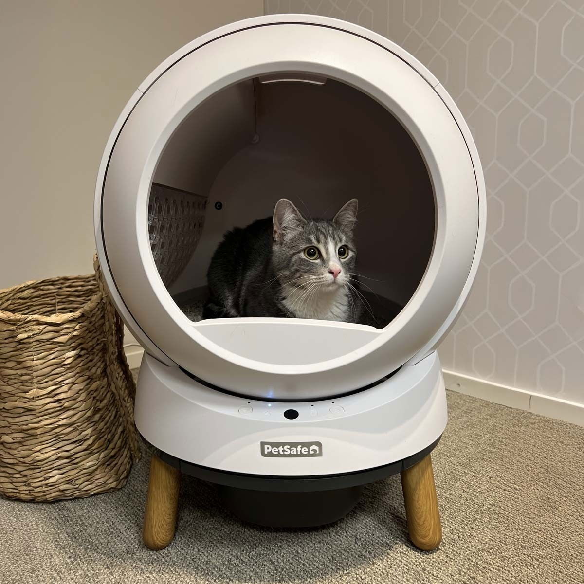 PetSafe SmartSpin Self-Cleaning Litter Box