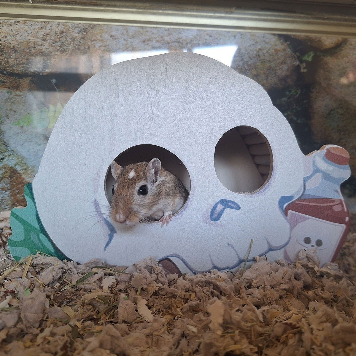 Duvoplus Small animal wooden house, skull