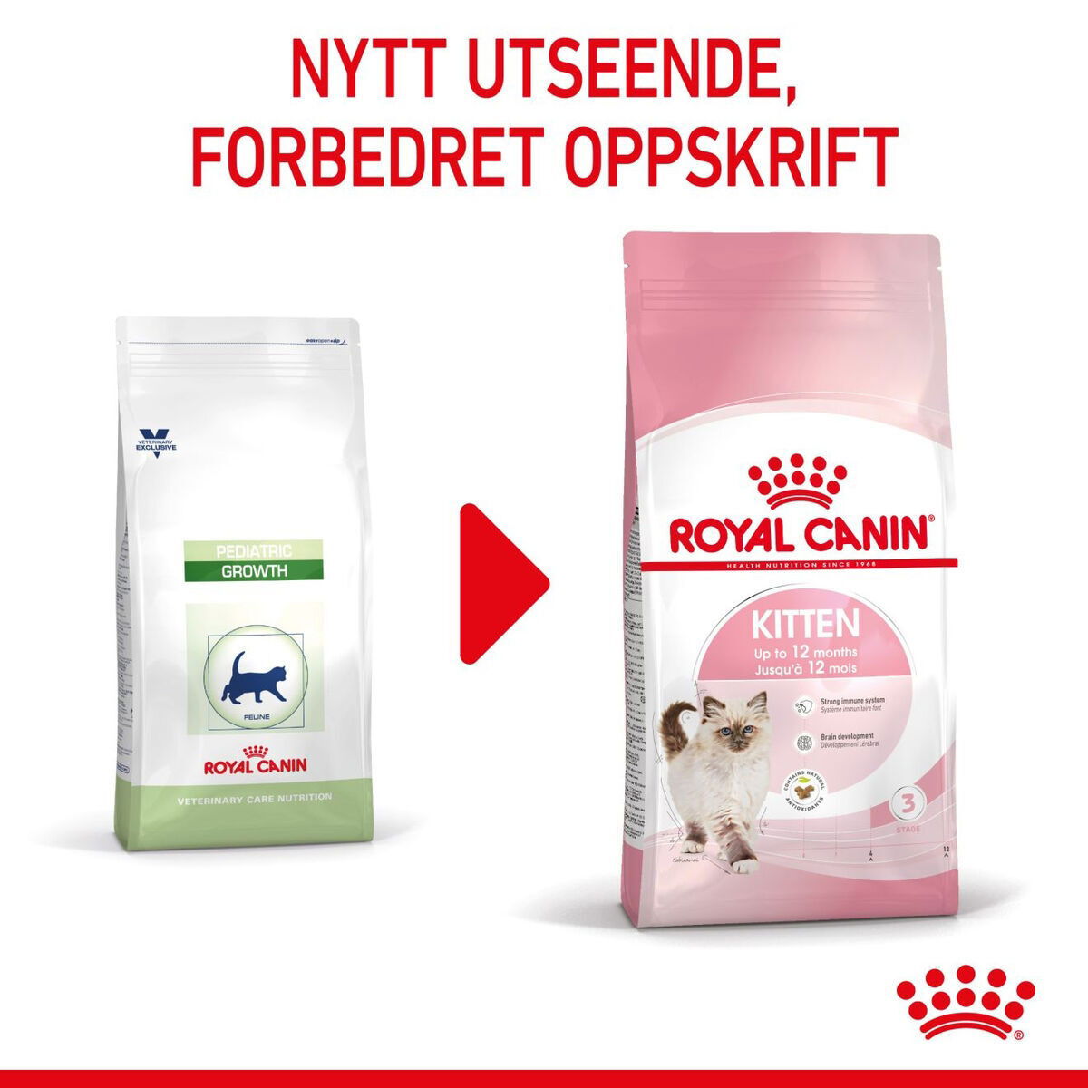 Royal Canin Kitten tørrfôr til kattunge