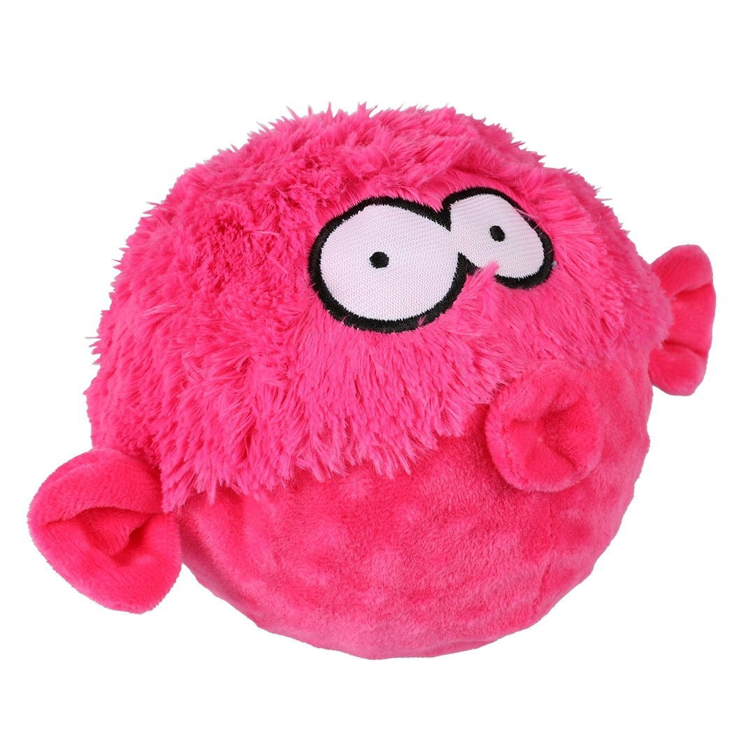 Coockoo Gary dog toy
