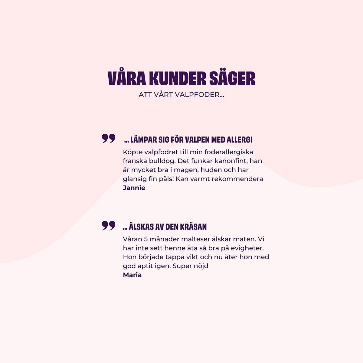 Petgood insect-dog food, pup, junior, nursing dogs