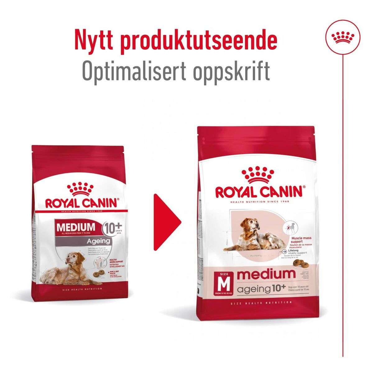 Royal Canin Medium Ageing 10+ tørrfôr til hund