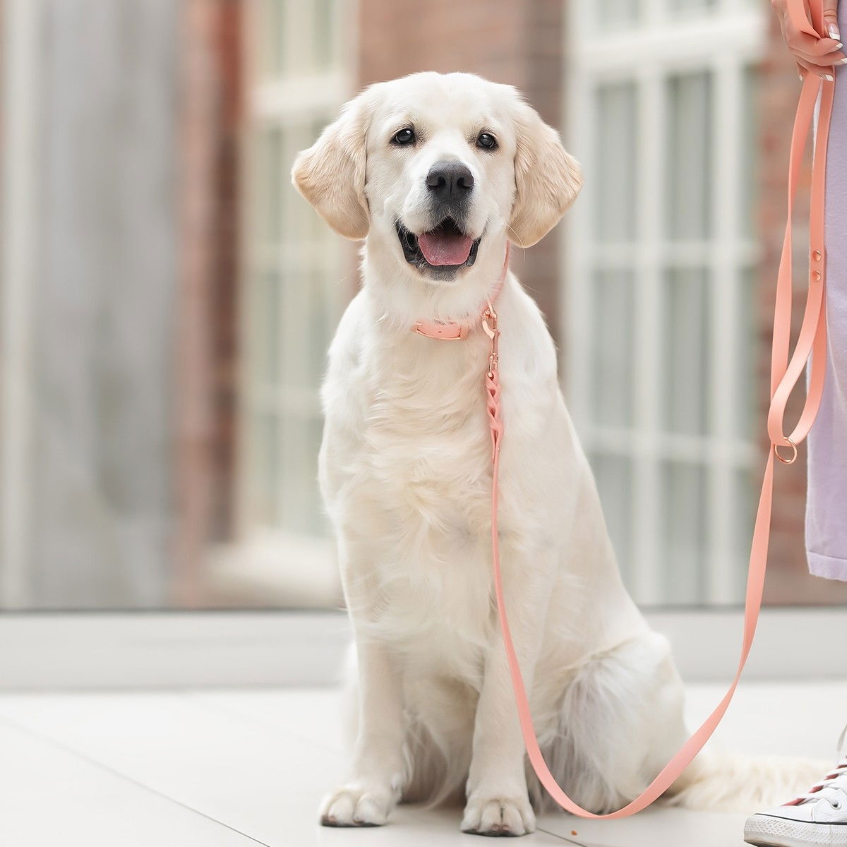 Tyylivoitto Braid BioThane-leash, peach/rosegold
