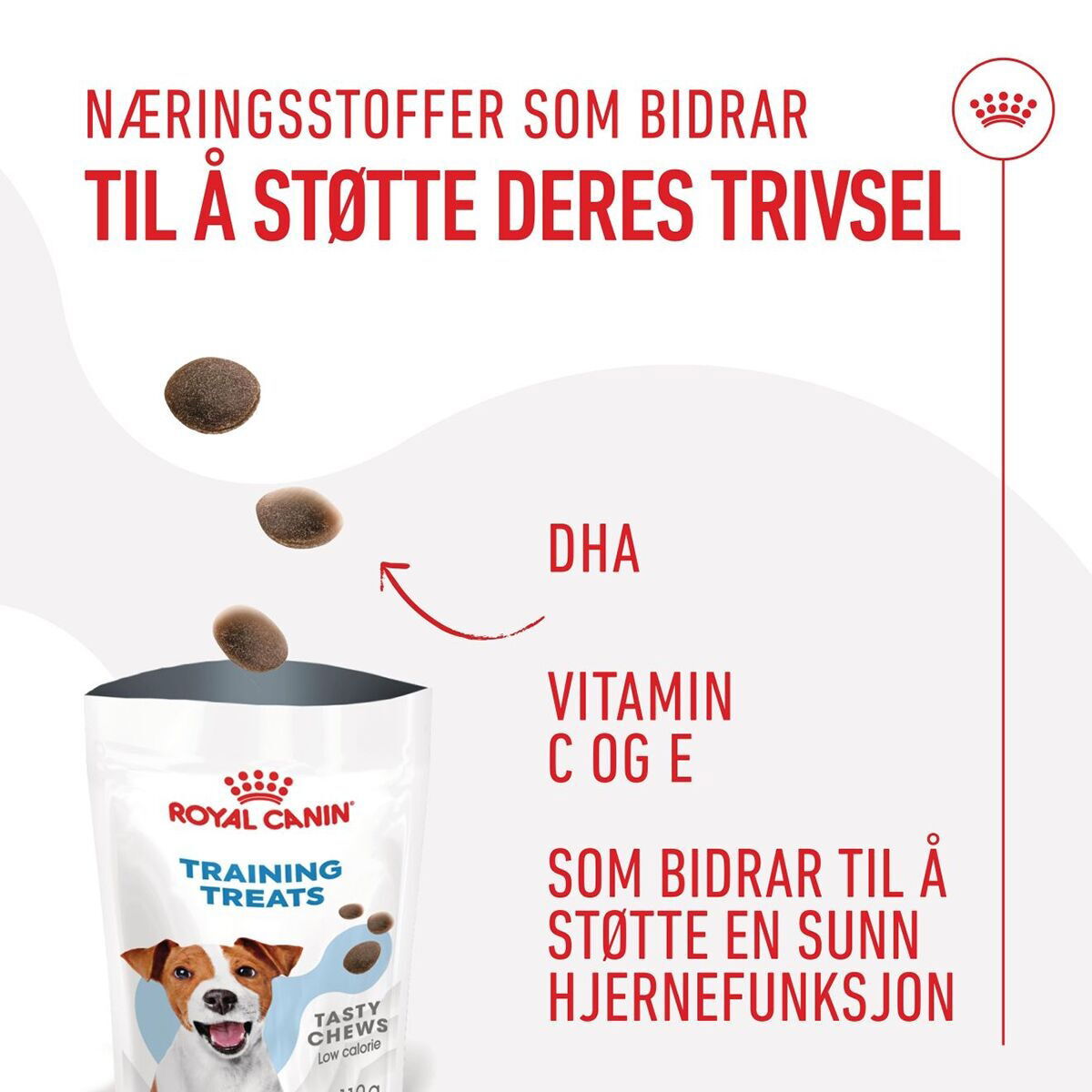 Royal Canin Dog Training Treats 110g