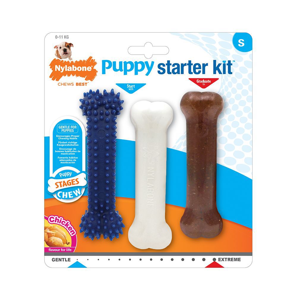 Nylabone Puppy Starter Kit