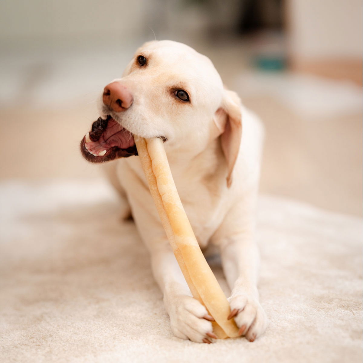 POCCA European Beef Rawhide Roll 37cm